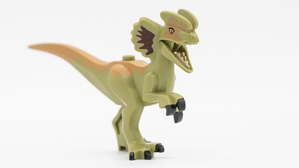 dino side white 1024x576