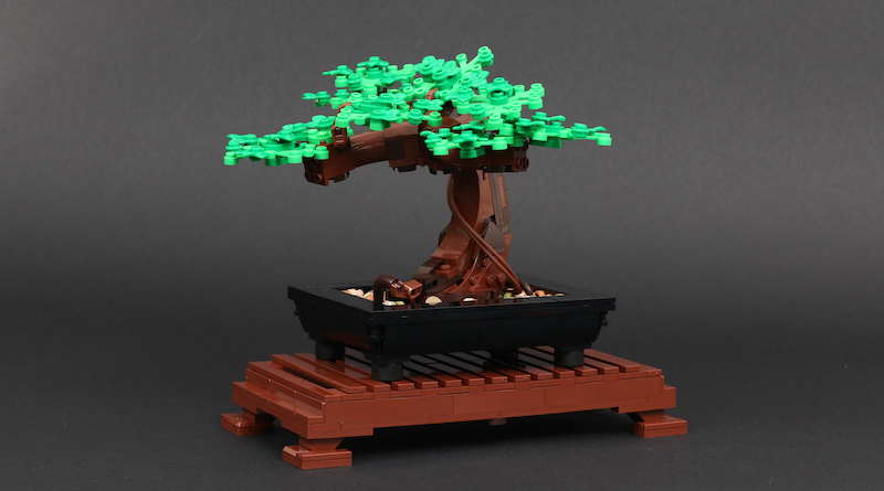 LEGO Botanical Collection 10281 Bonsai Tree review
