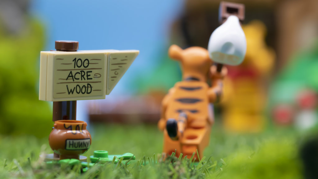 LEGO ideas 21326 Winnie The Pooh 48