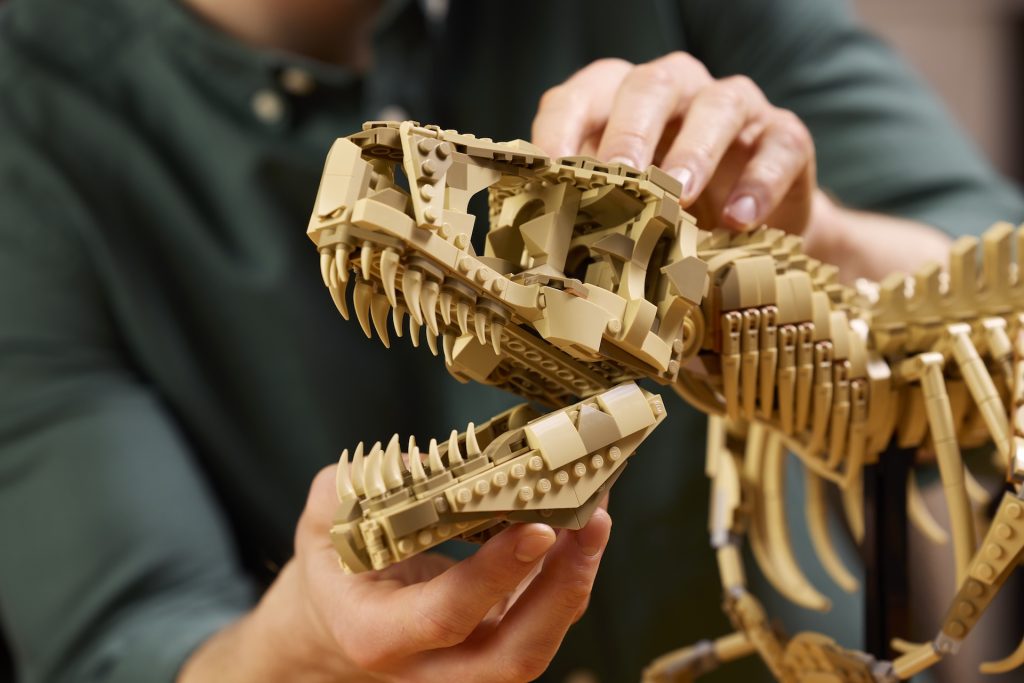 LEGO Jurassic Park 76968 Dinosaur Fossils Tyrannosaurus rex 13 1024x683