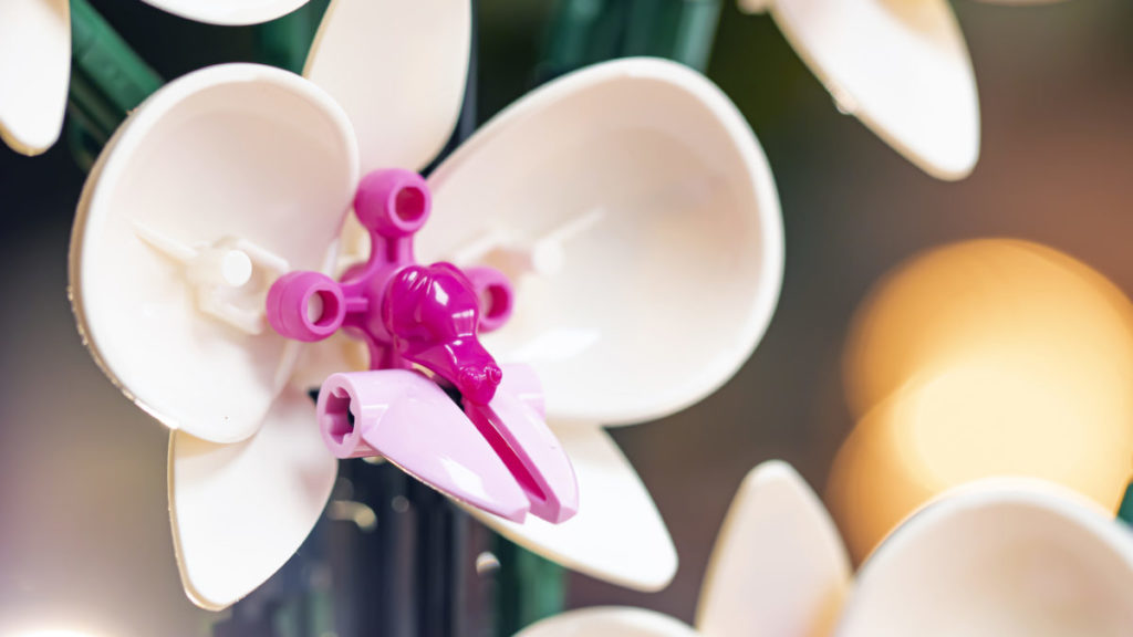 LEGO Botanical Collection 10311 Orchid 1 1024x576