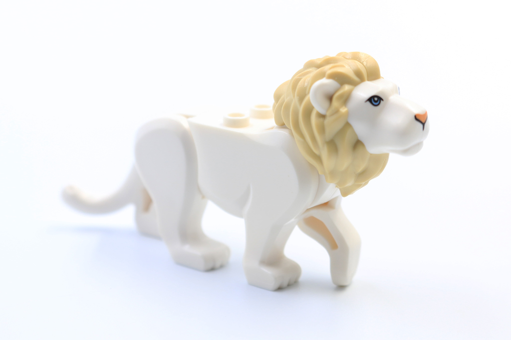 Lion2