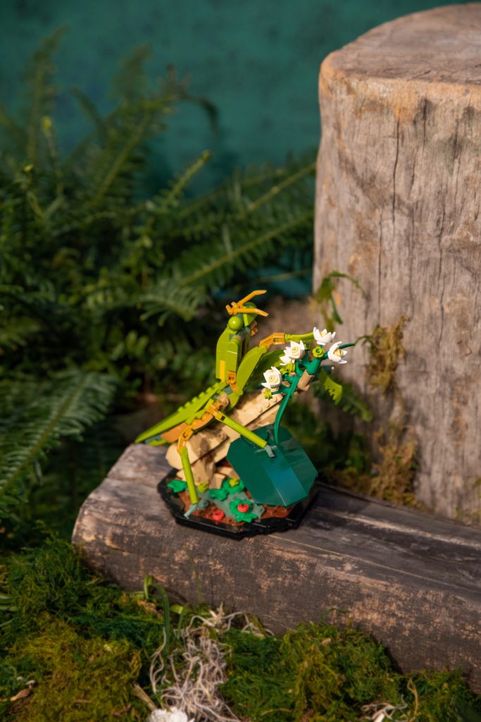 LEGO Ideas 21342 The Insect Collection 9 683x1024