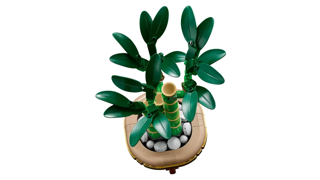 LEGO Botanicals 10344 Lucky Bamboo 4 1024x576