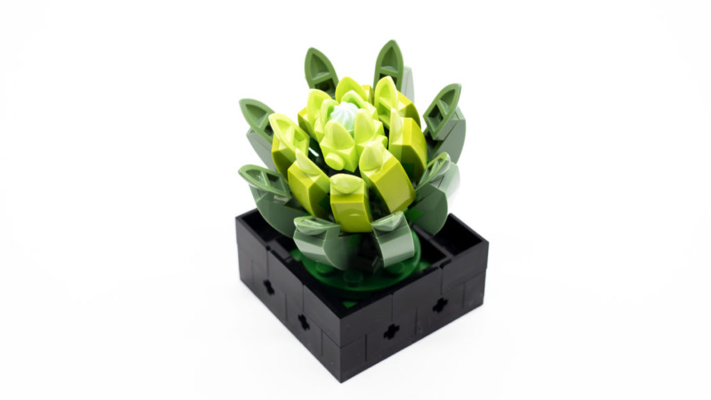 LEGO The Botanical Collection 10309 Succulents 25 1024x576