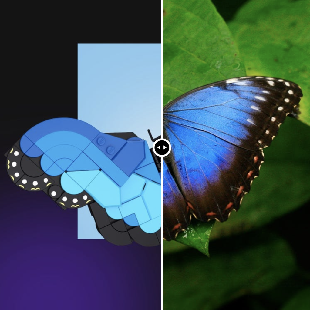 LEGO 21342 The Insect Collection Butterfly Comparison 1022x1024